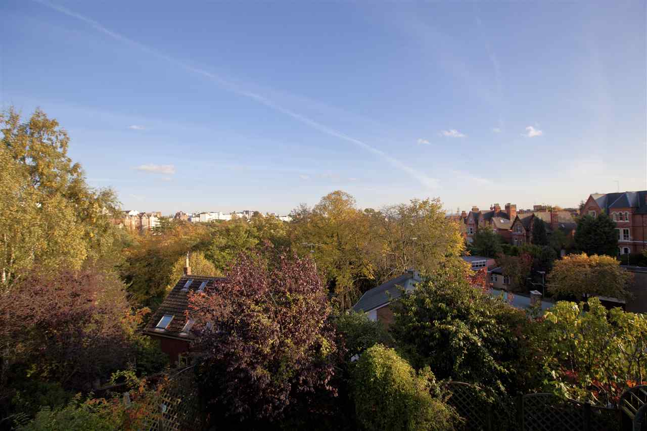 resized-2349823-14 - Views.jpg